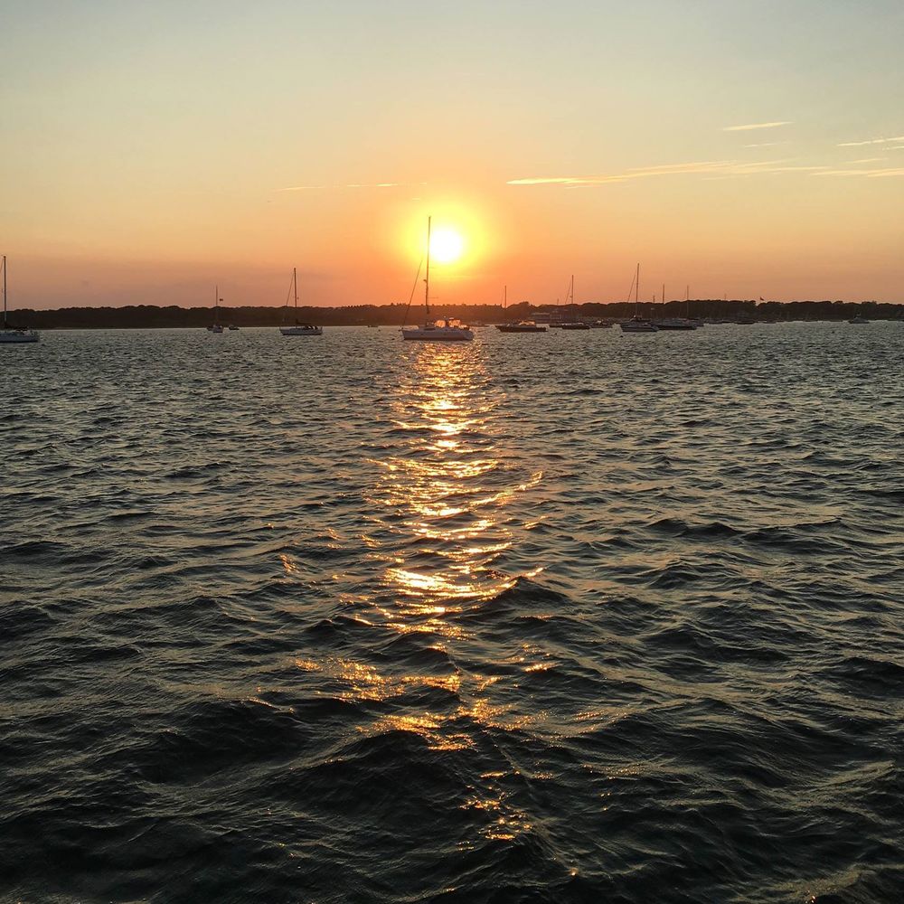 Meet your Posher, Delaney